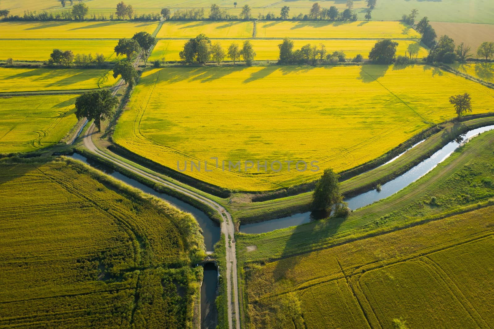 wonderful drone view of rice fields by Robertobinetti70