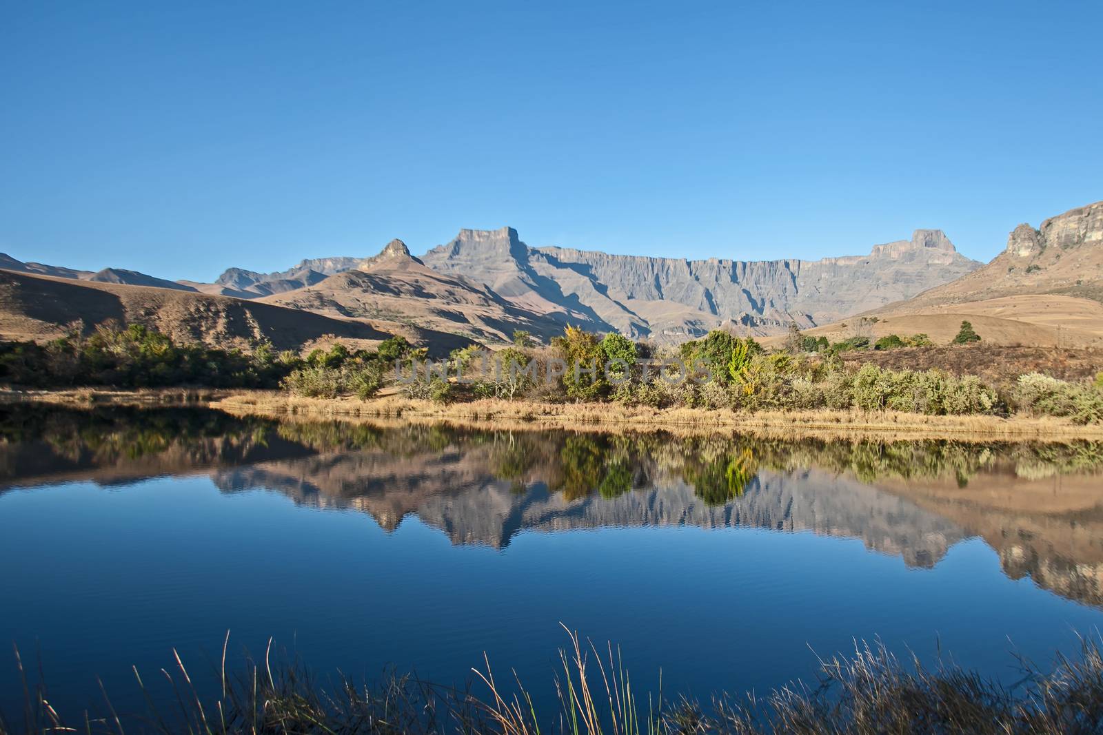 Reflections of the Amphitheater Formation in a calm Drakensberg lake in Royal Natal National Park. KwaZulu-Natal. South Africa