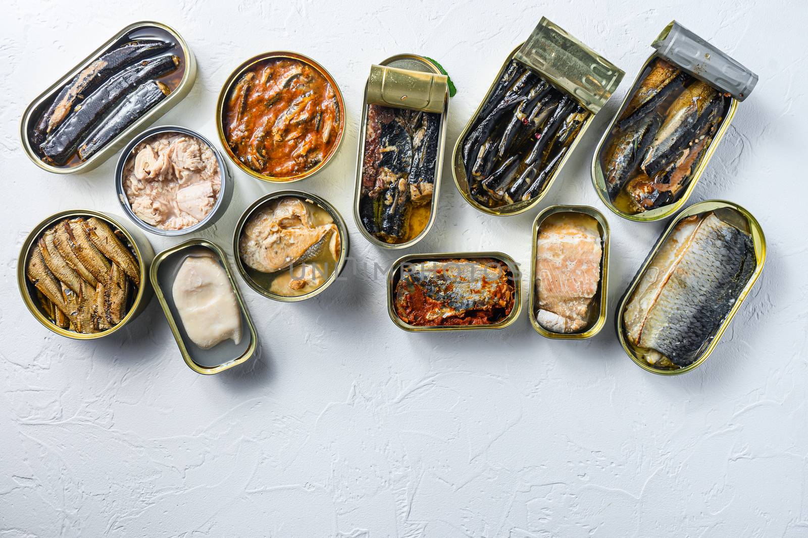 Set aluminium and tin cans with Saury, mackerel, sprats, sardines, pilchard, squid, tuna over white textured background space for text.