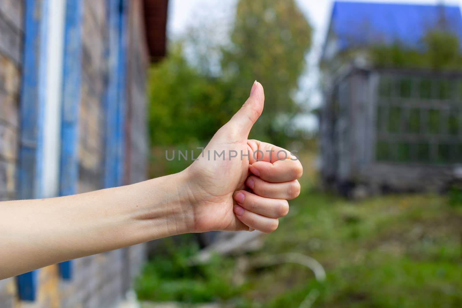 A girl or woman shows a thumbs up, class, on a wooden background. Recommends