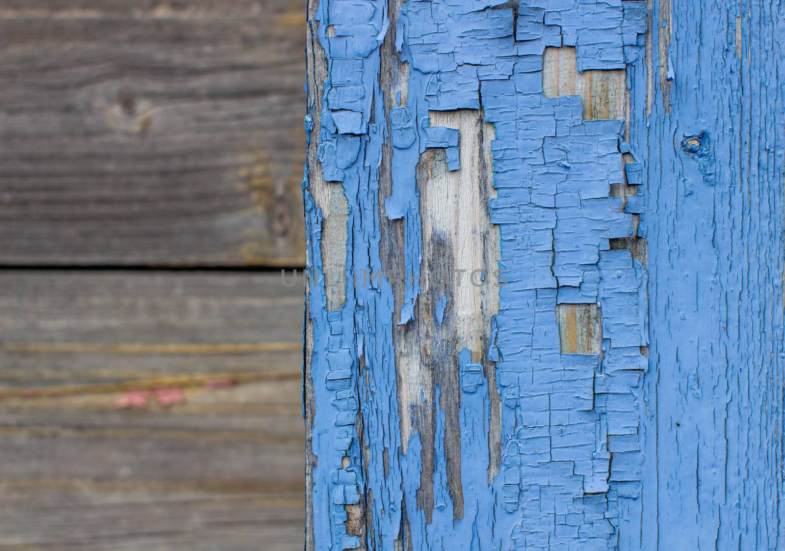 Blue old paint on the Board. Wooden background made of old boards. The texture of an old rustic wooden fence made of flat processed boards. Background design