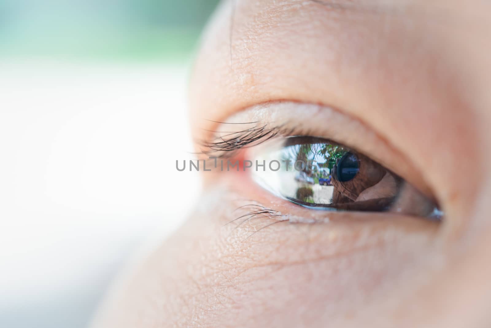 Macro of eye or eyeball black color of asian woman with eyebrow, eyelash and eyelid in concept eye health and vision in life