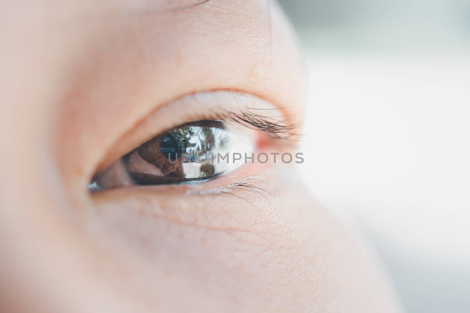 Macro of eye or eyeball black color of asian woman with eyebrow, eyelash and eyelid in concept eye health and vision in life