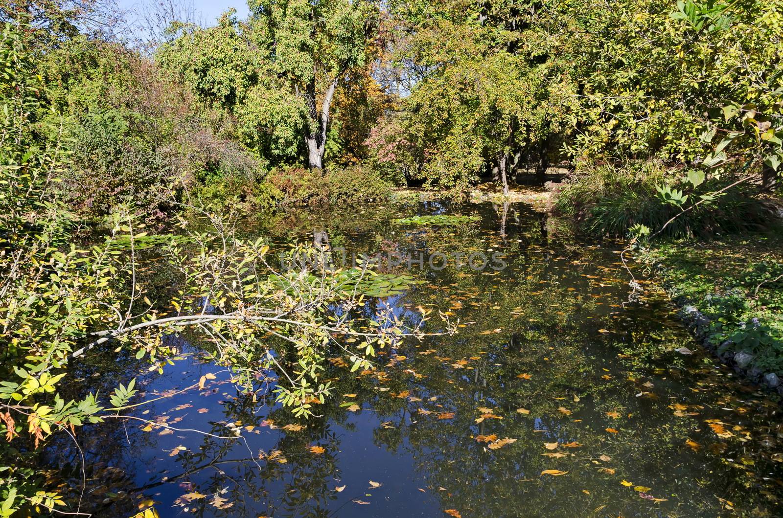 Autumn colorful forest with a lake and reflections in it, Sofia, Bulgaria