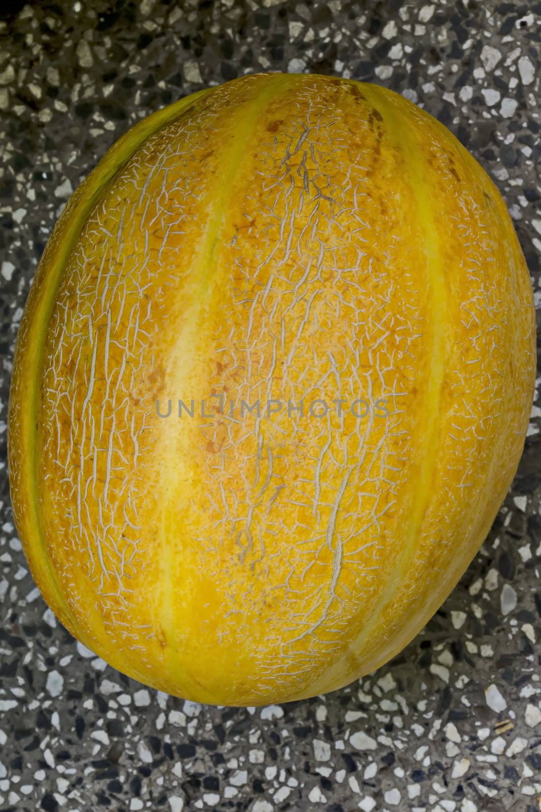 Close-up photo of a fresh ripe whole melon by vili45