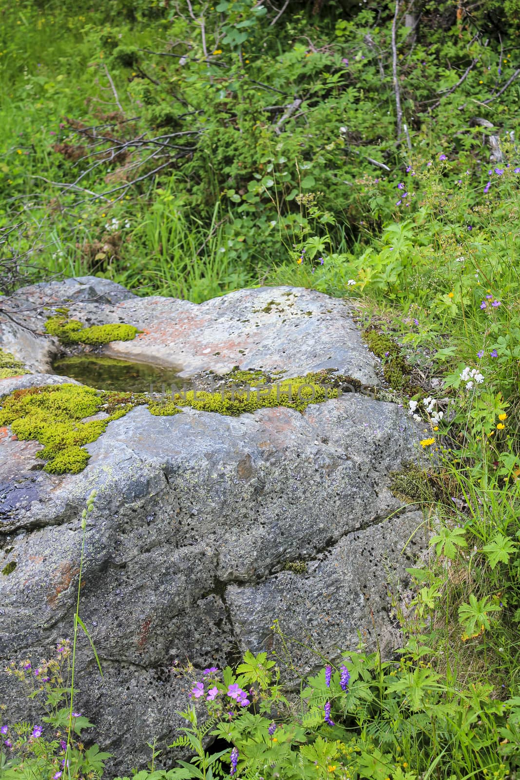 Norwegian landscape. Big rocks, mountains and forest. Norway Nature Hemsedal.. by Arkadij