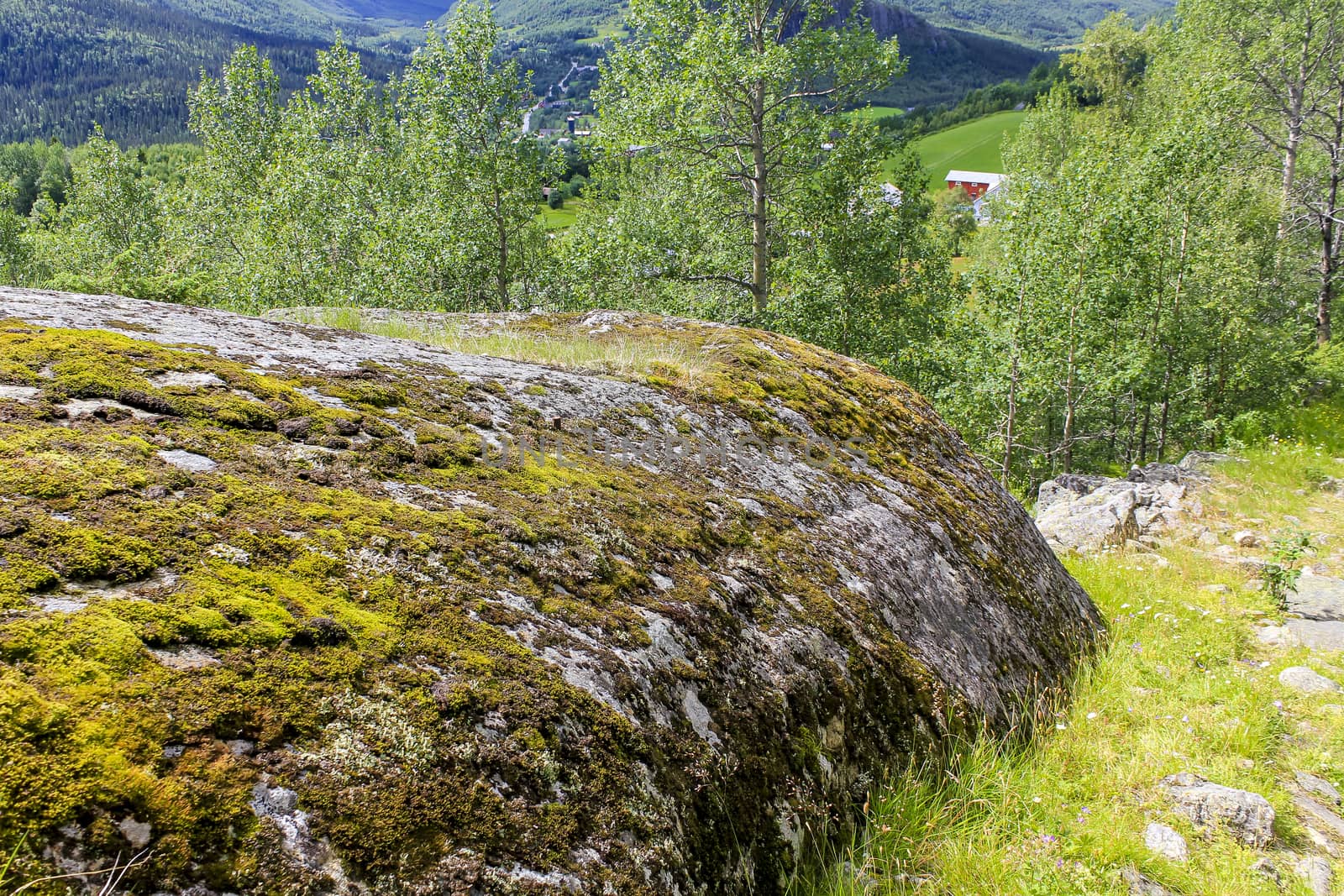 Beautiful Norwegian landscape. Big rocks, mountains and forest. Norway Nature in Hemsedal.