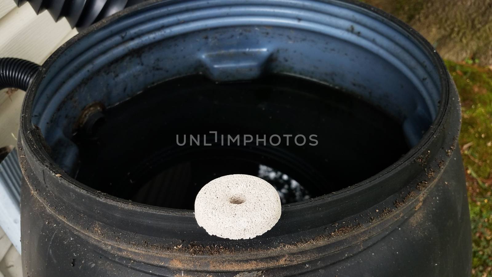 circular white mosquito tablet insecticide on edge of rain barrel with water