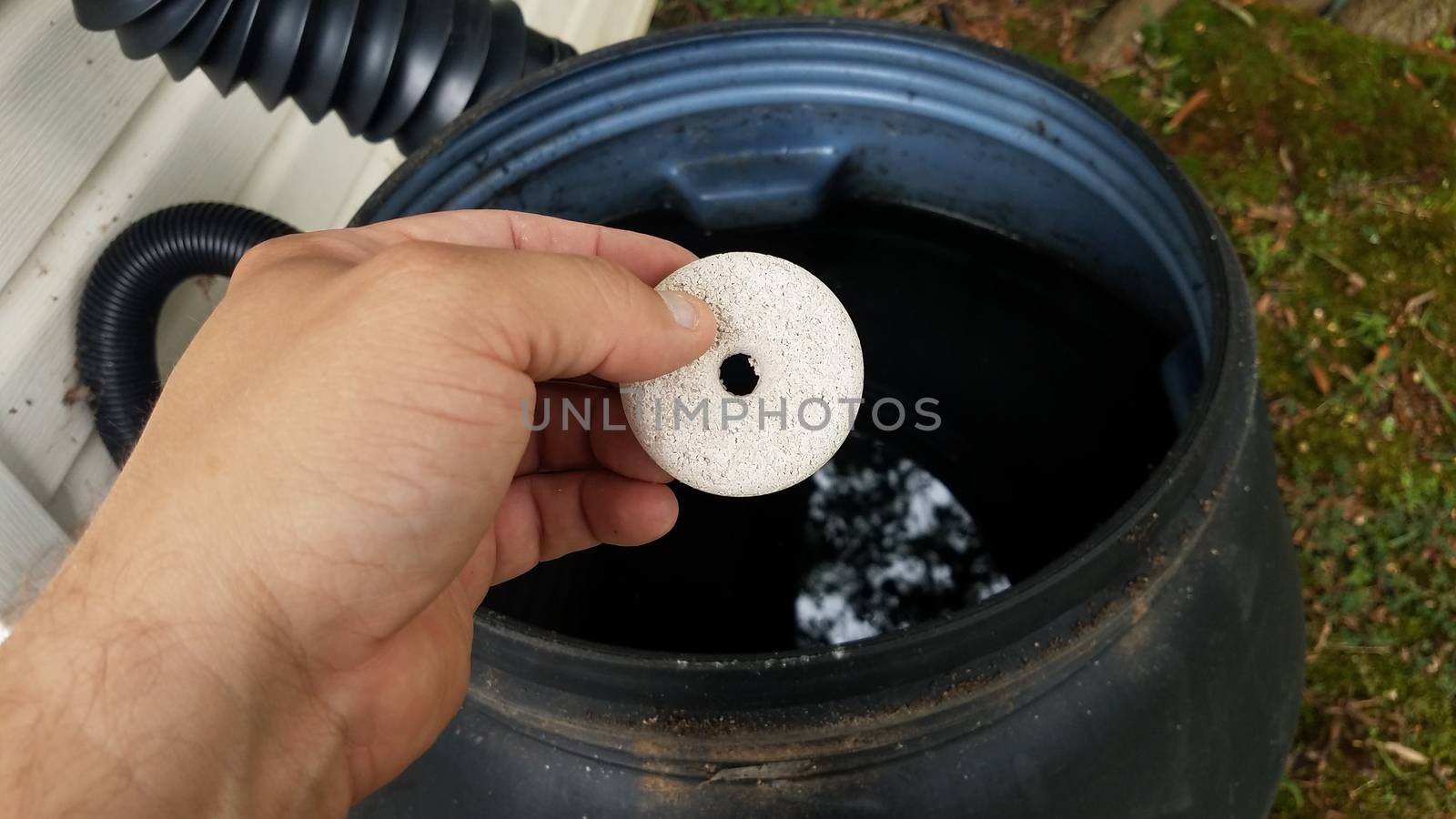 hand holding circular white mosquito tablet insecticide over rain barrel with water