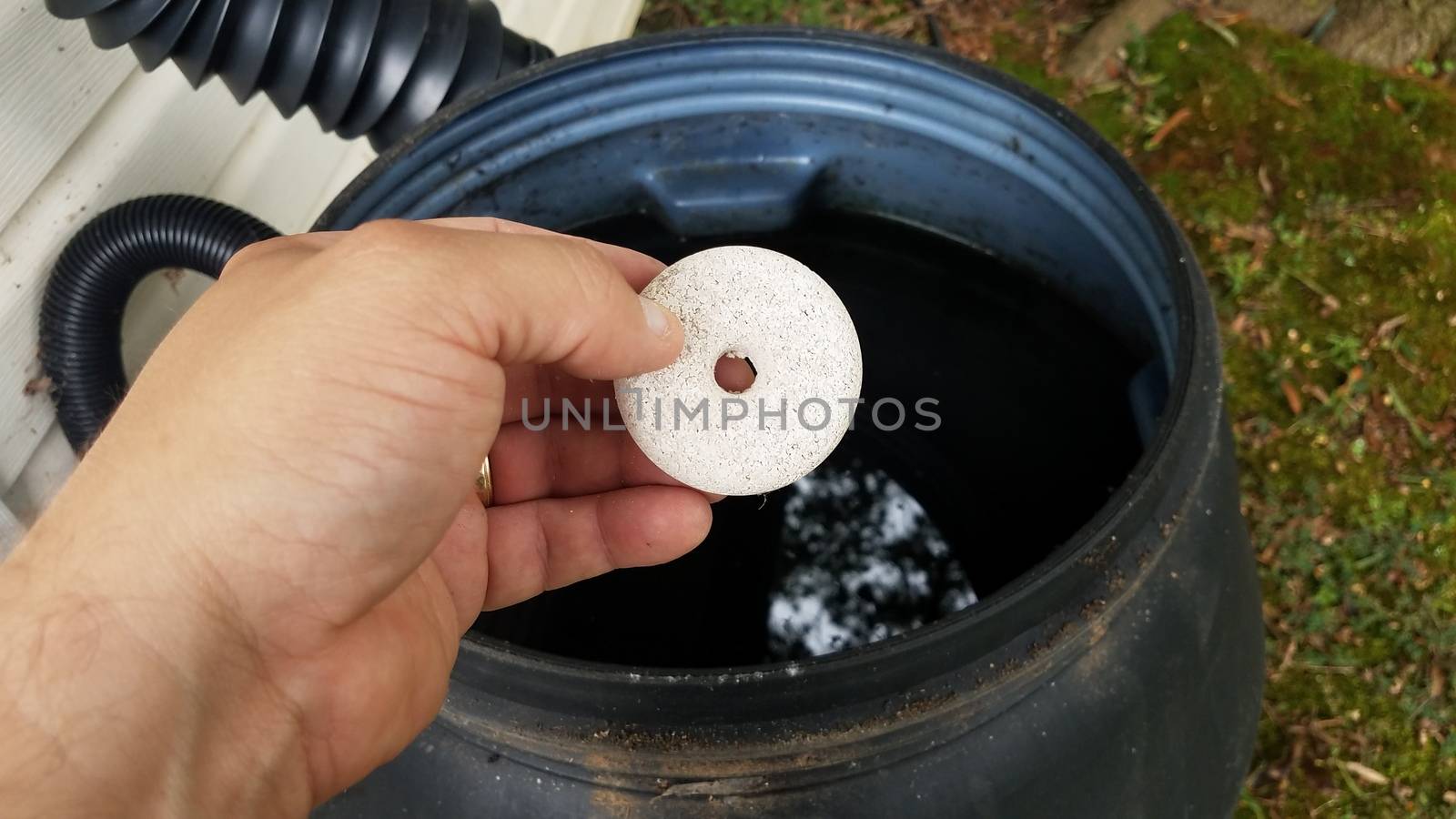 hand holding mosquito tablet insecticide over rain barrel by stockphotofan1
