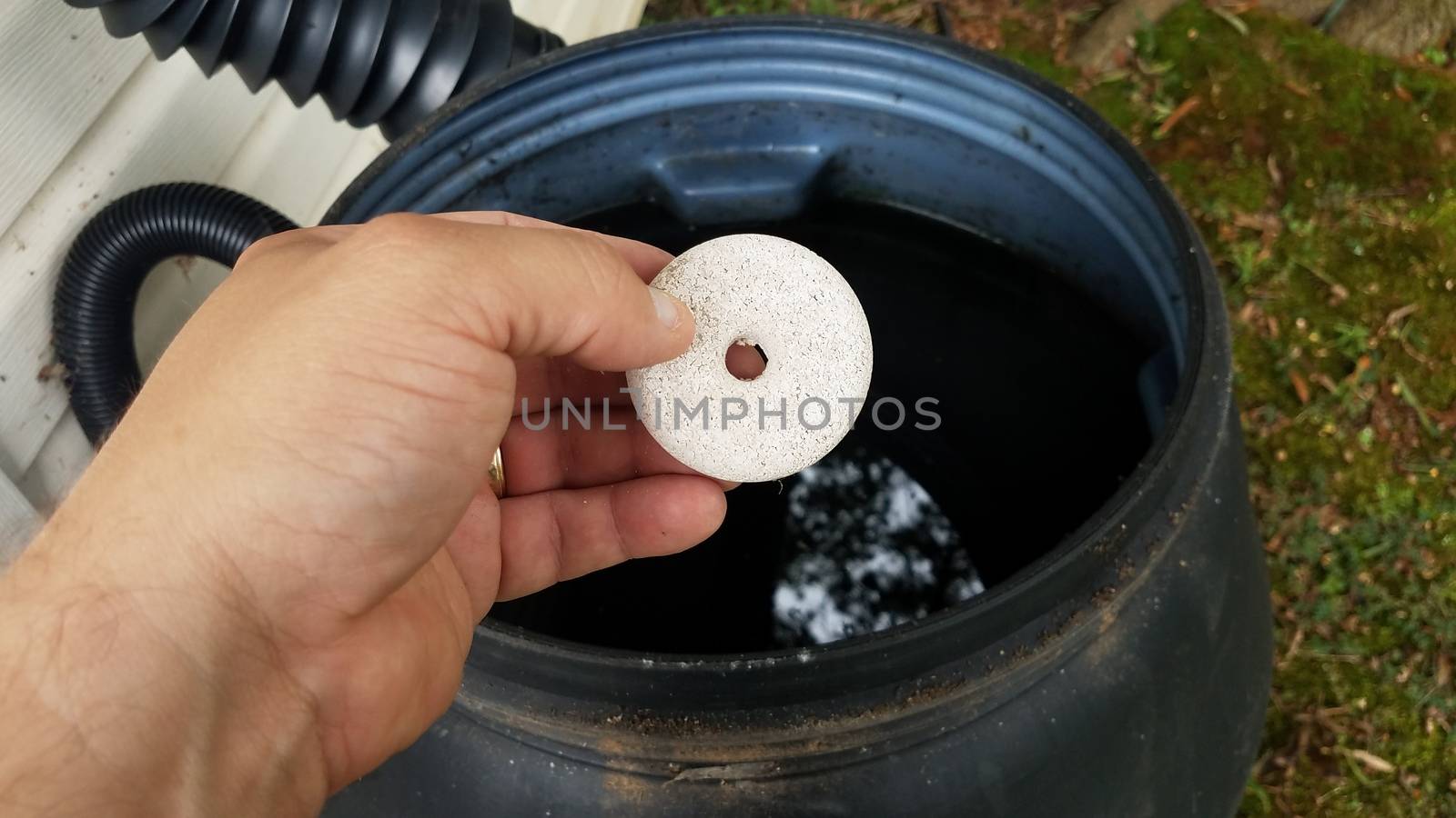 hand holding circular white mosquito tablet insecticide over rain barrel with water