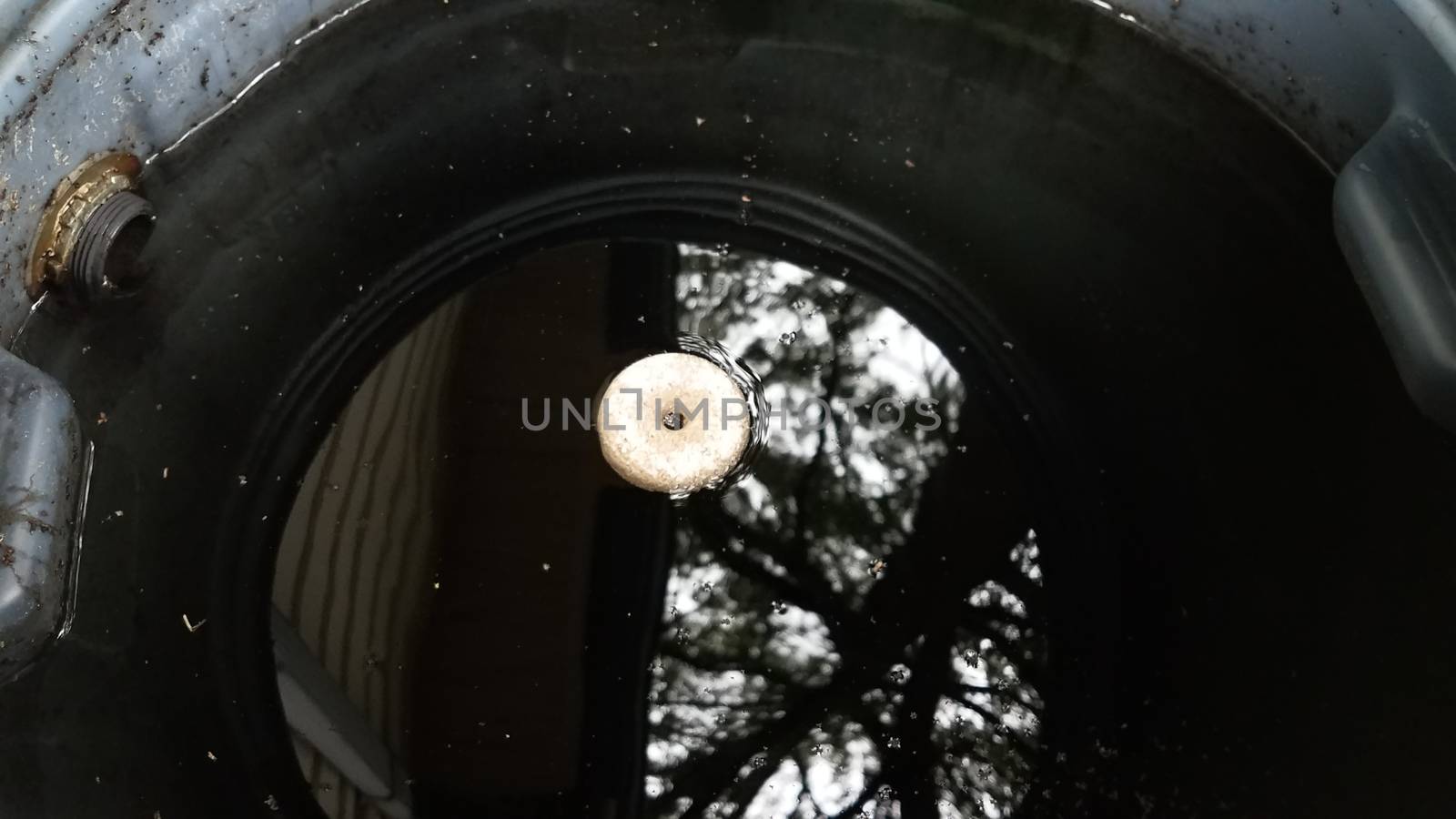 mosquito tablet insecticide floating in rain barrel with water