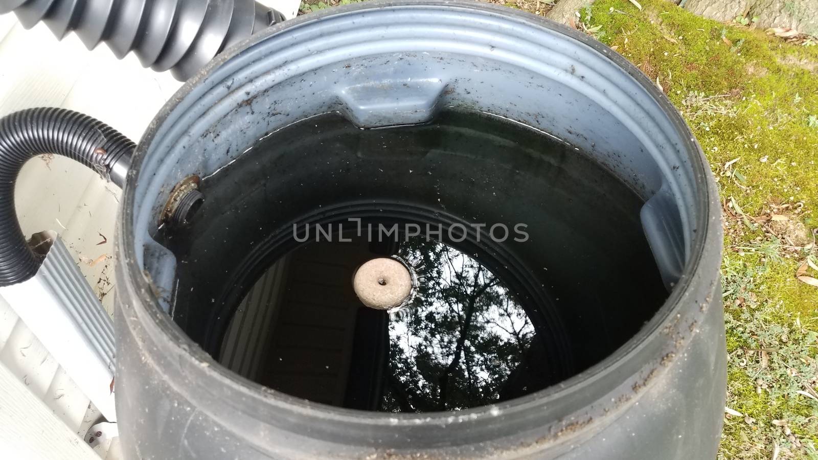 mosquito tablet insecticide floating in rain barrel with water