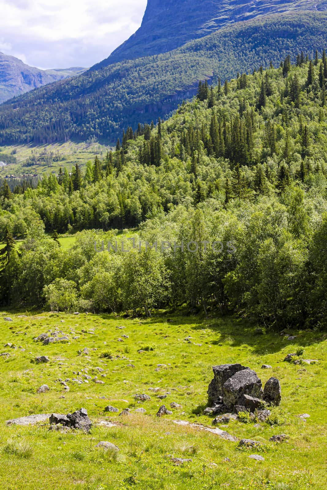 Panorama Norway, Hemsedal Mountains, firs rocks and green meadows, Viken, Buskerud.
