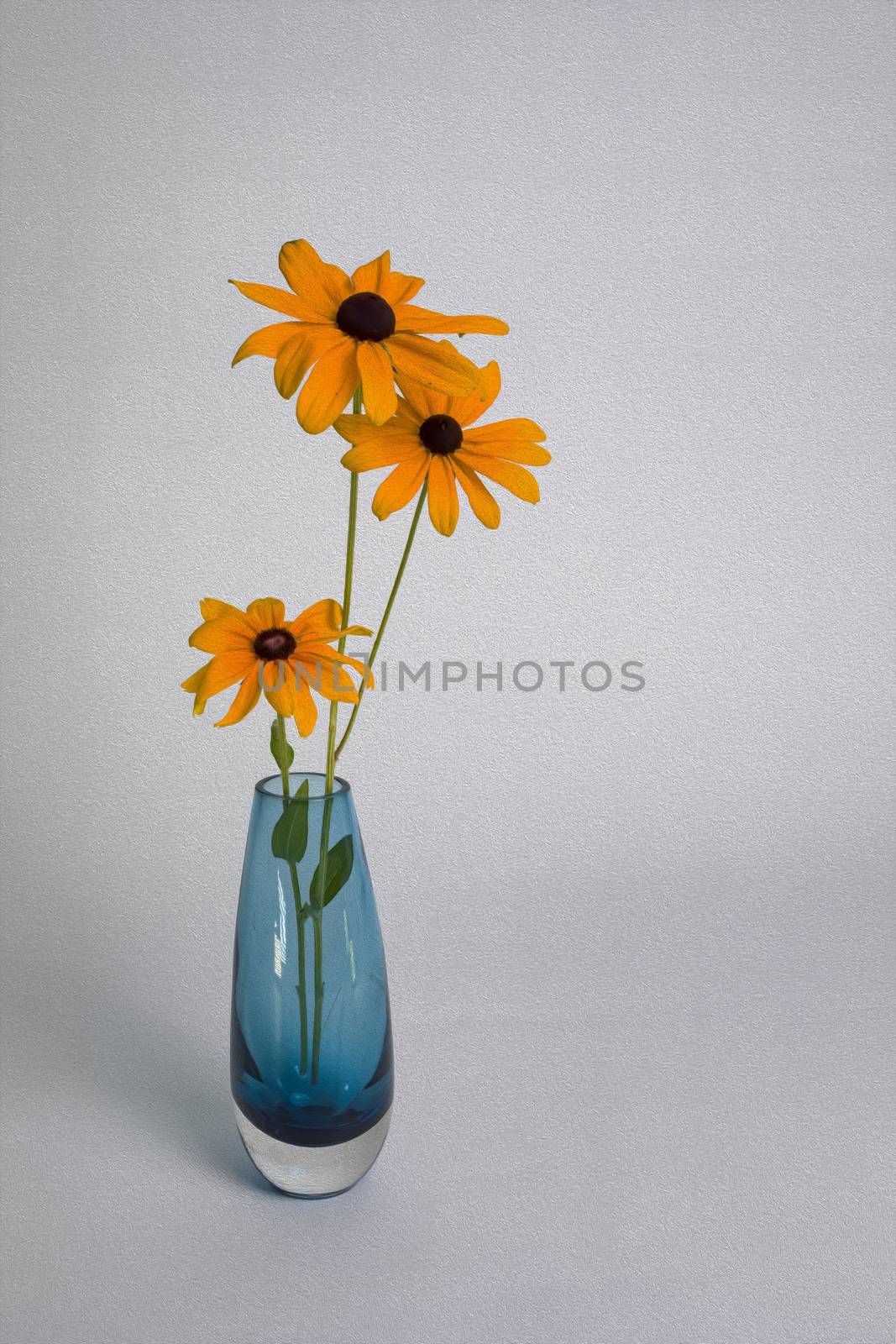 Blue Vase on White Background with Three Black-eyed Susans by CharlieFloyd