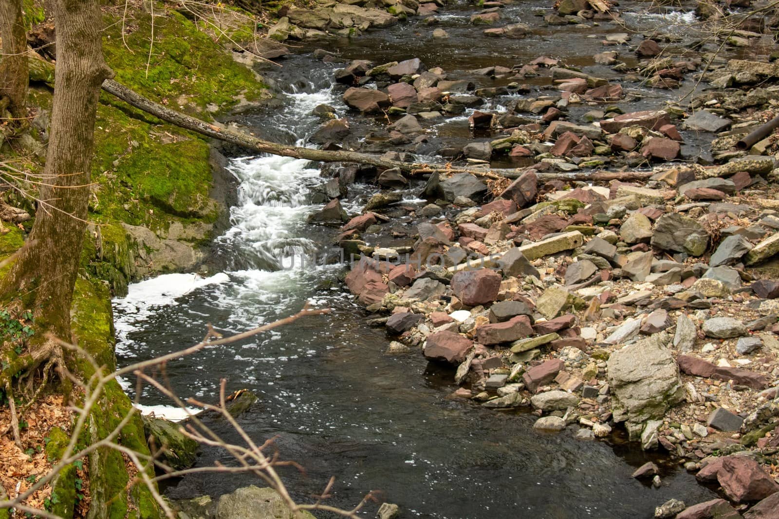 A Fast Flowing Stream With Rapids and Rocks and Moss on Each Side