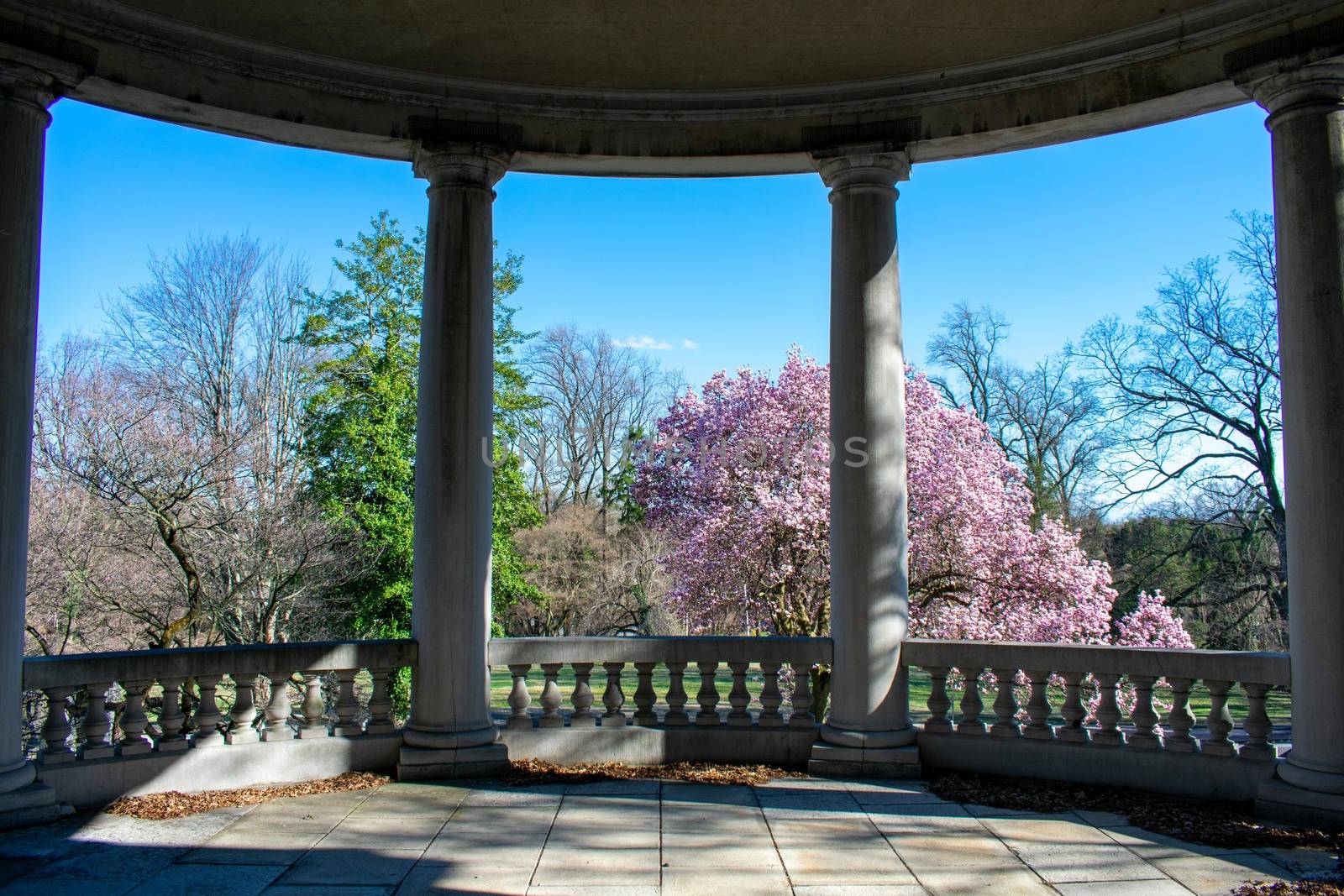 A Large Ornamental Balcony With Two Pillars at Elkins Estate by bju12290