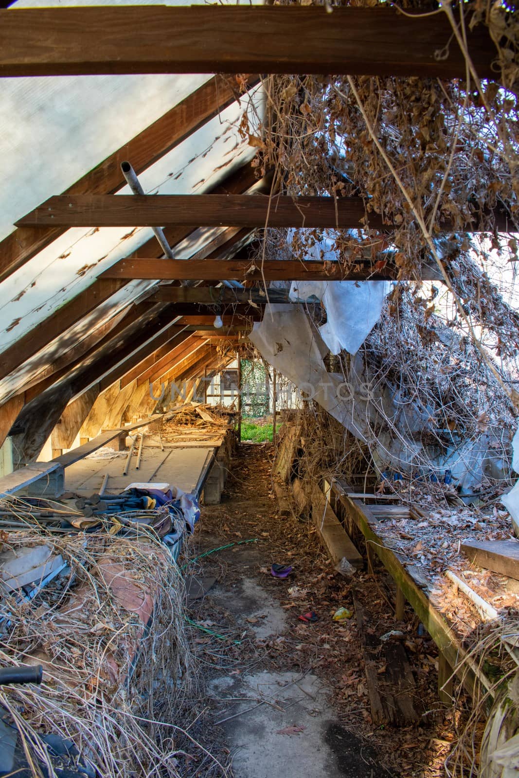 Inside an Old Abandoned Greenhouse With a Room Full of Live Plan by bju12290