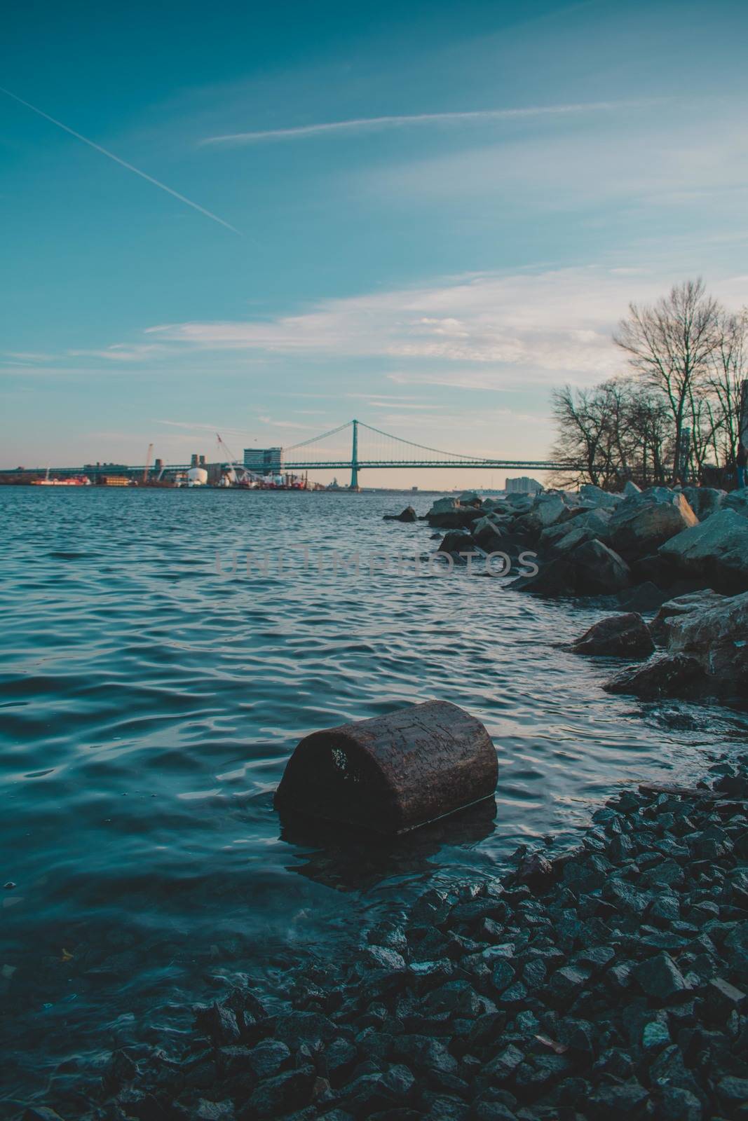 A Log on the Shore of the Deleware River at Penn Treaty Park With the Ben Franklin Bridge Behind It
