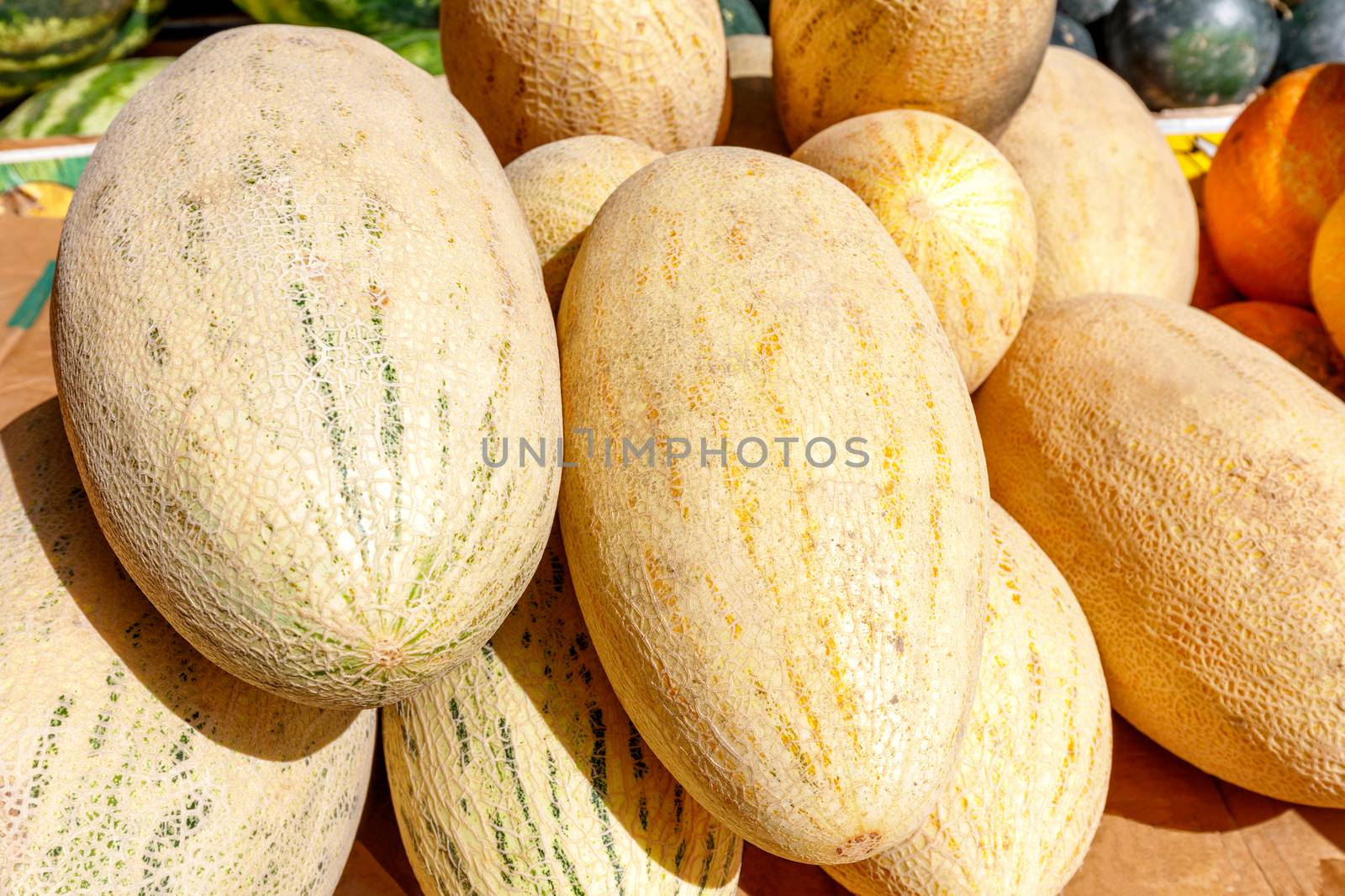 Sweet yellow elongated melons on the market counter. A large number of delicious melons in a stack, selective focus.