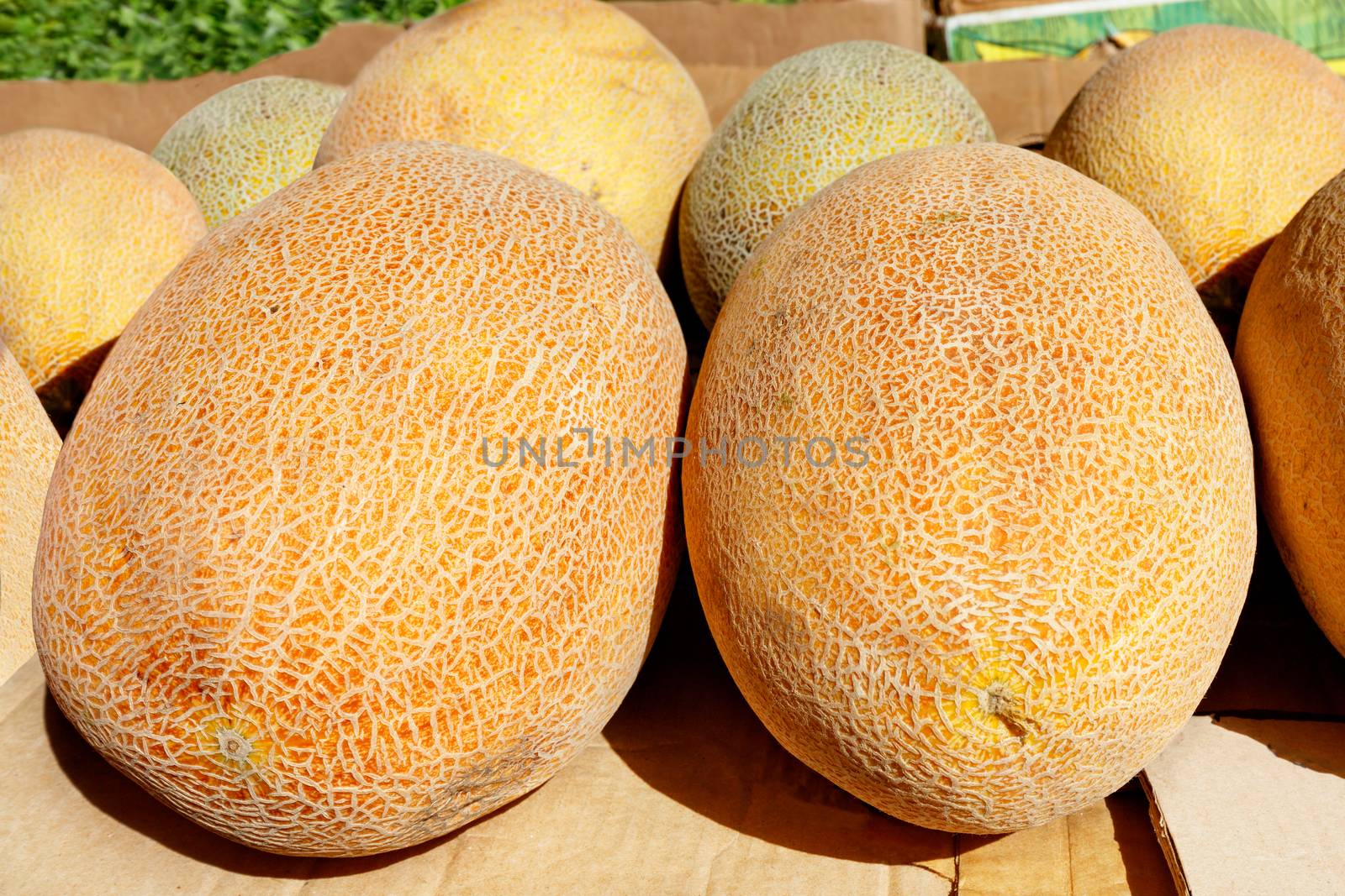 Heap of sweet ripe orange melons, close-up, selective focus. by Sergii