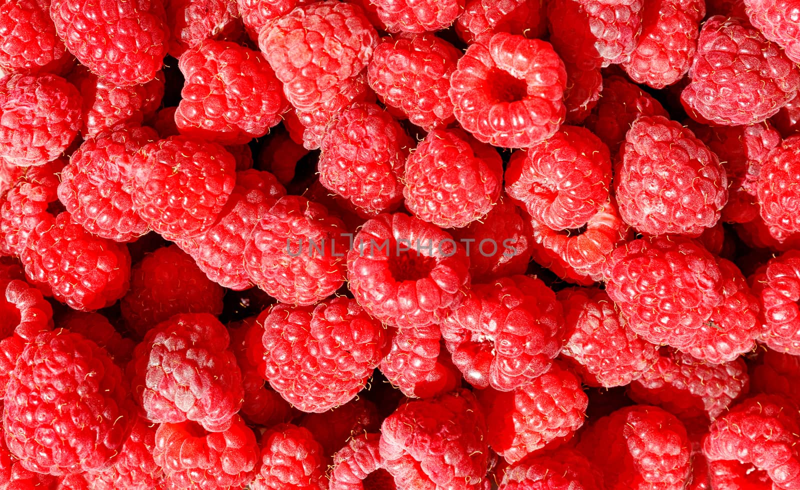 Red and ripe raspberries close-up in bulk in sunlight, for sale, background and texture, close-up, top view.