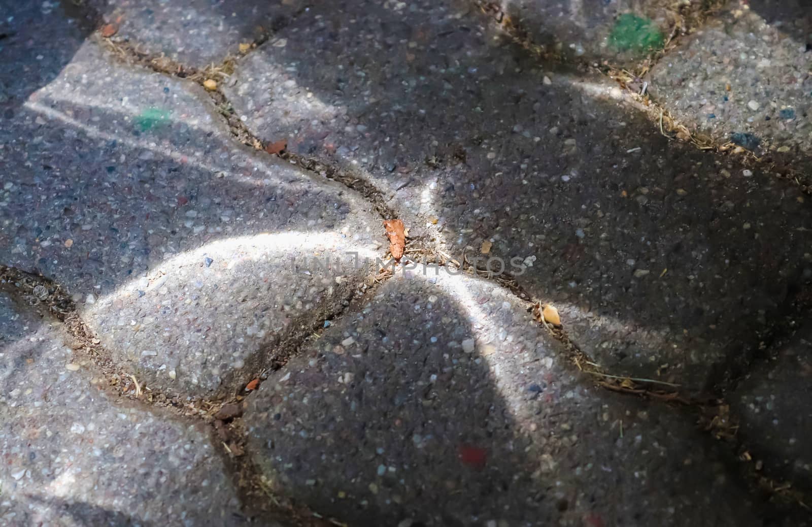 Caustic light effects from refraction in glass on an ashalt ground