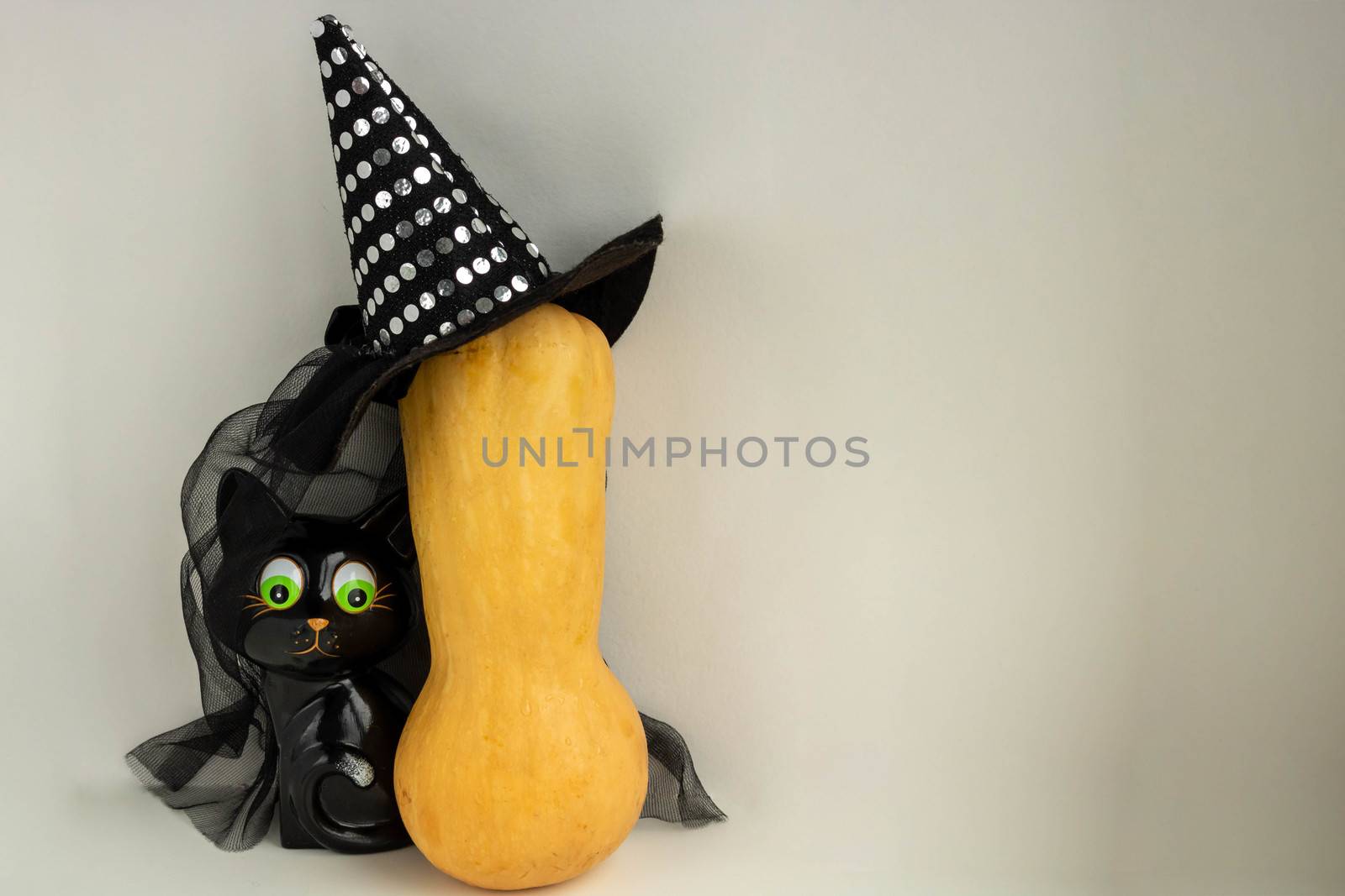 Happy Halloween. A black cat toy hides behind a pumpkin in a witch's hat.