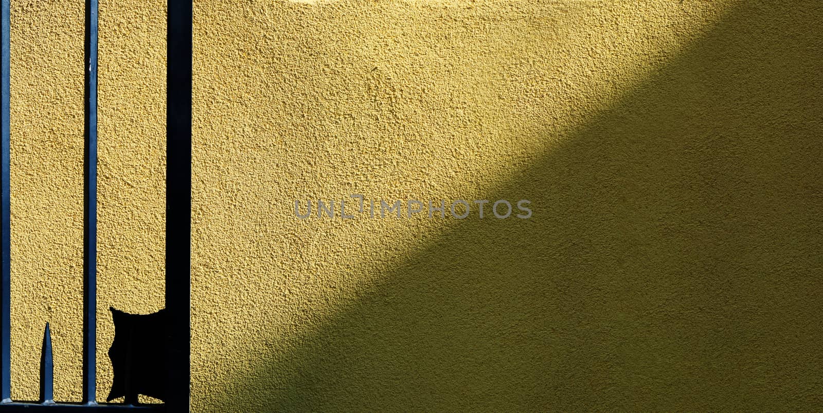 Wall for presentation background in light yellow green color