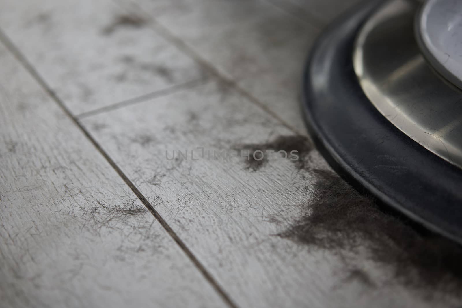 Short black male hair lies on the floor near barbershop armchair of the hairdresser after a haircut. hygiene Saloon need cleaning service