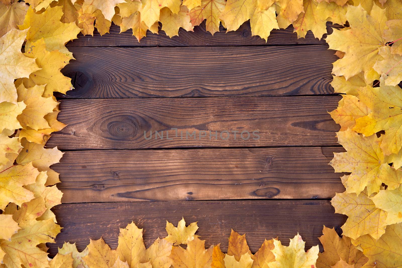 Autumn leaves Square frame on wooden background top view Fall Border yellow and Orange Leaves vintage wood table Copy space for text