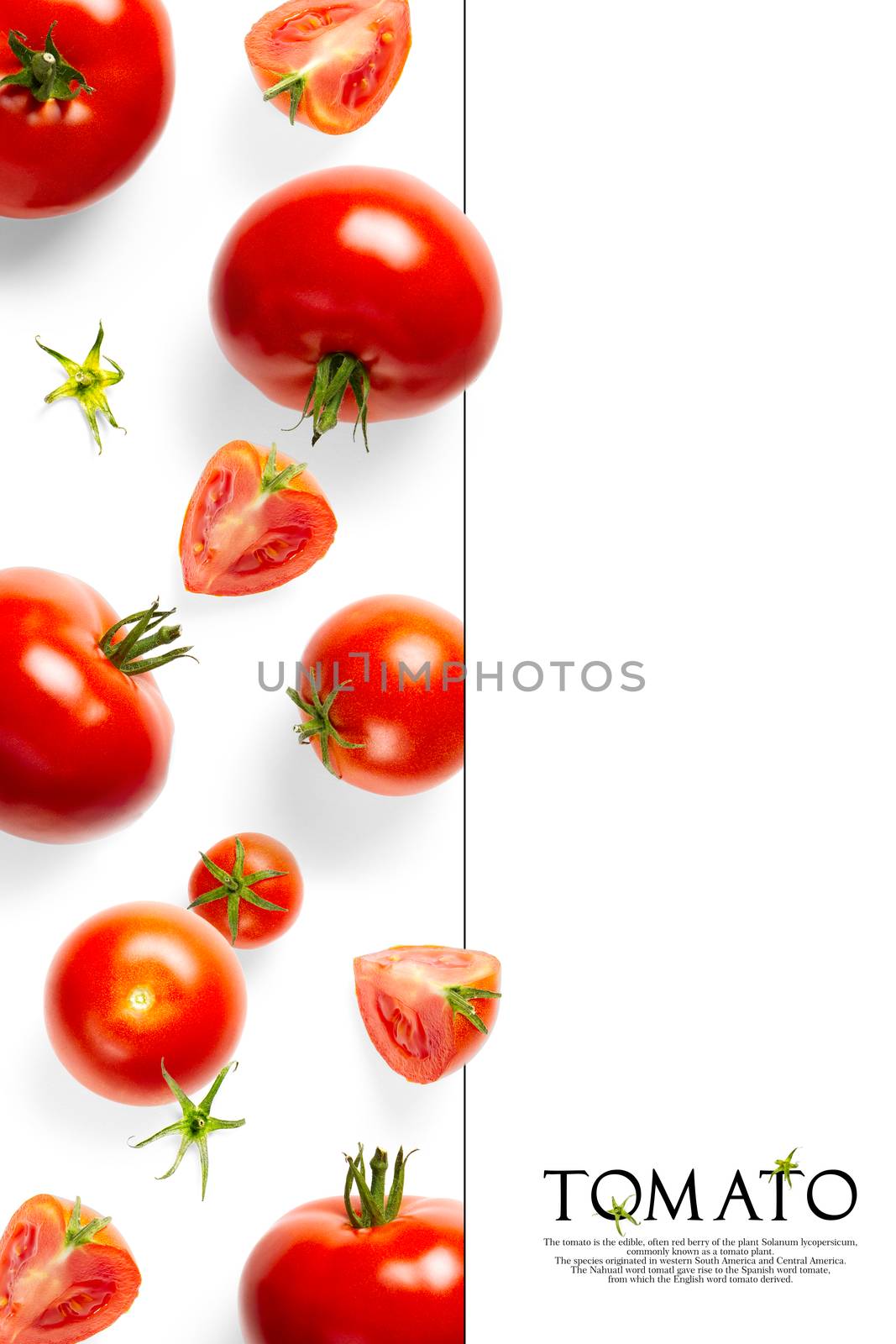 Creative layout made of tomato on the white background. Creative flat lay set of tomatoes with simple text on white background, copy space. by PhotoTime