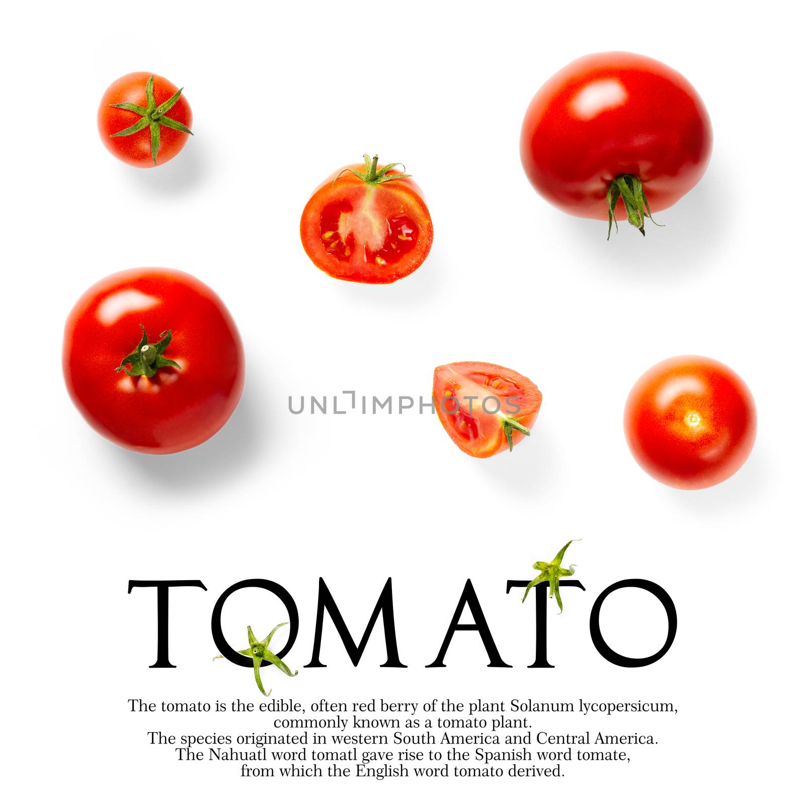 Creative layout made of tomato on the white background. Creative flat lay set of tomatoes with simple text on white background, copy space. by PhotoTime