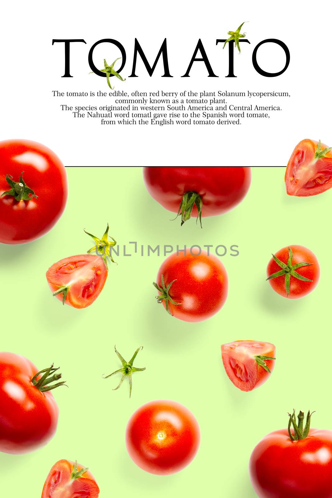 Creative layout made of tomato on the green background. Creative flat lay set of tomatoes with simple text on white background, copy space. tomato theme decoration design or vegetarianism concept.