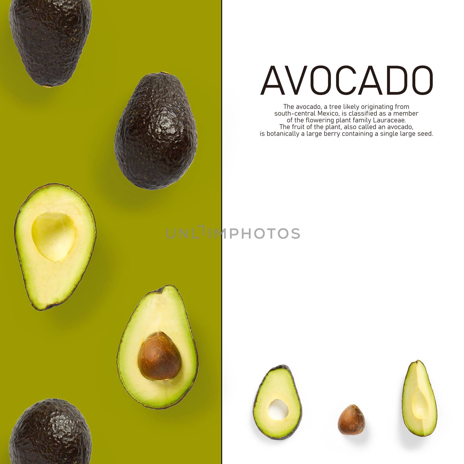 Modern creative avocado collage with simple text on solid color background. Avocado slices creative layout on olive background. Flat lay, Food concept by PhotoTime