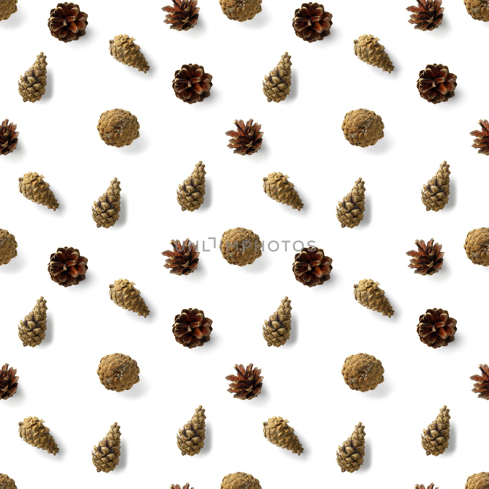 seamless christmas pattern from Pine cones on white background. modern pine cone christmas collage. Print for paper, fabric, wallpaper pinecones by PhotoTime