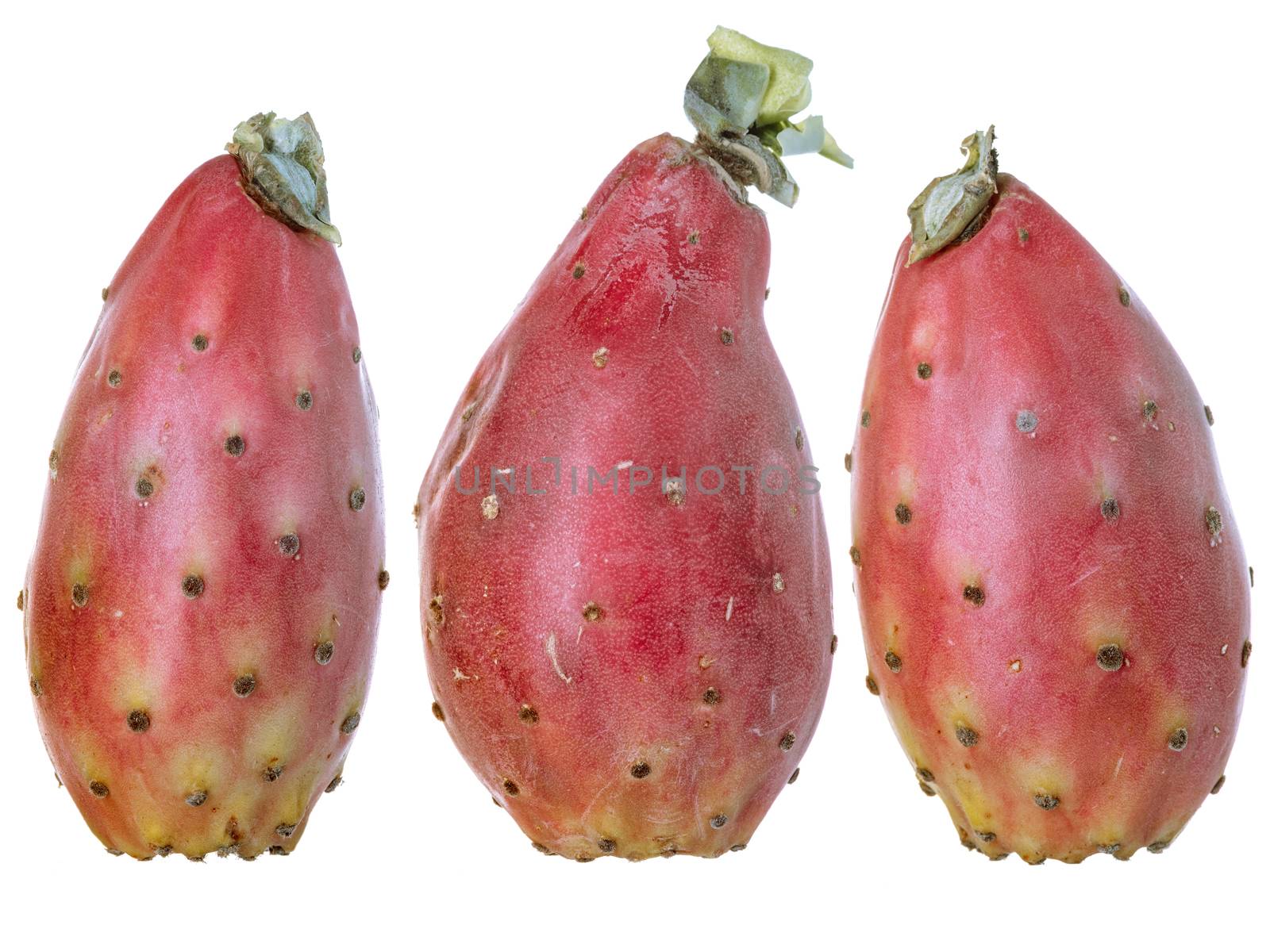 Various cactus fruit, isolated on a white background. by Fischeron