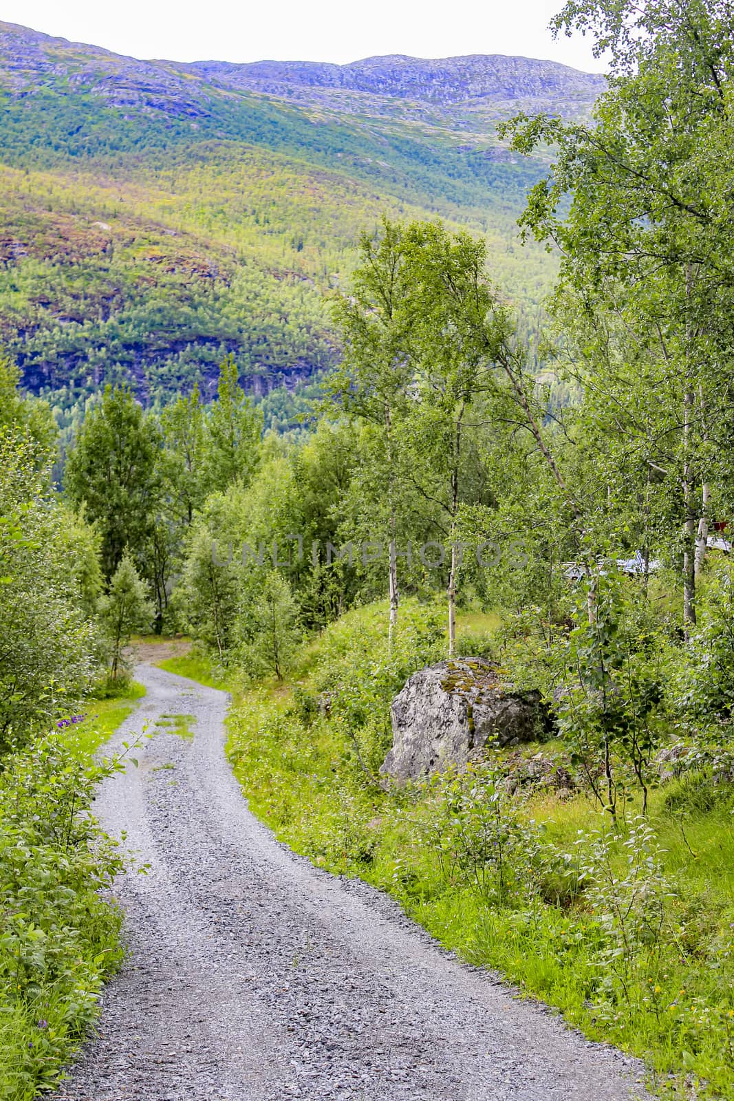 Hiking trail and incredibly colorful mountain in Hemsedal, Viken, Norway.