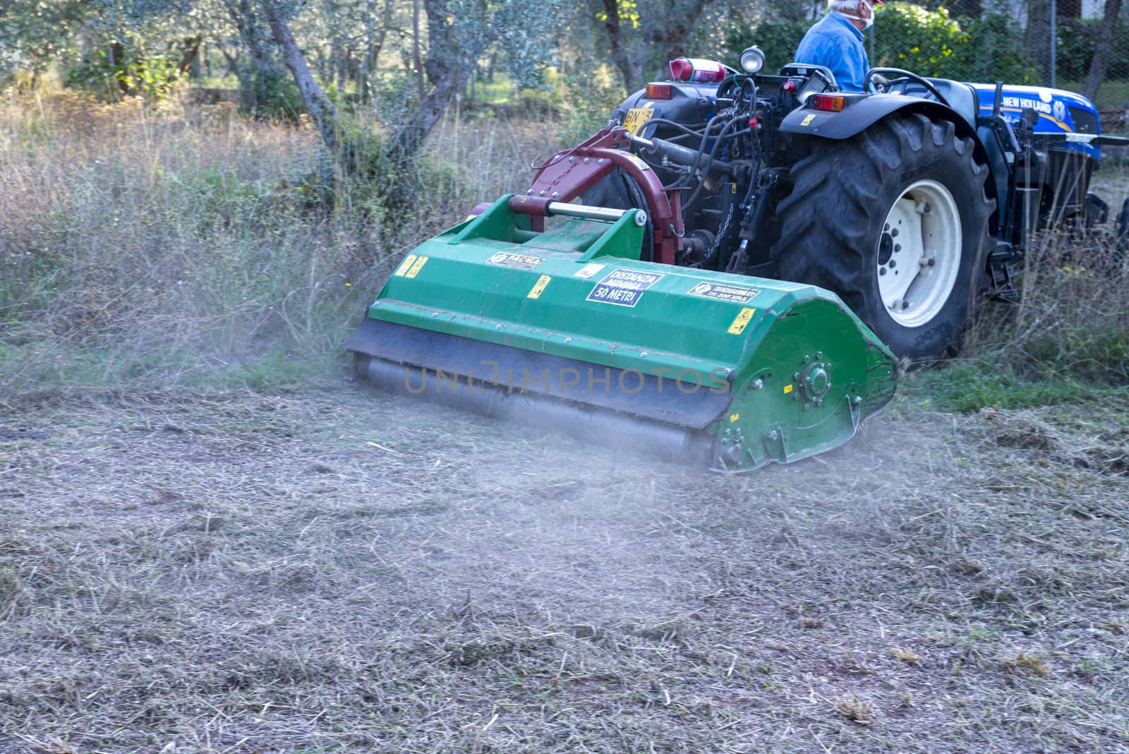 terni,italy september 13 2020:shredding with tractor and stalk chopper of olive fields