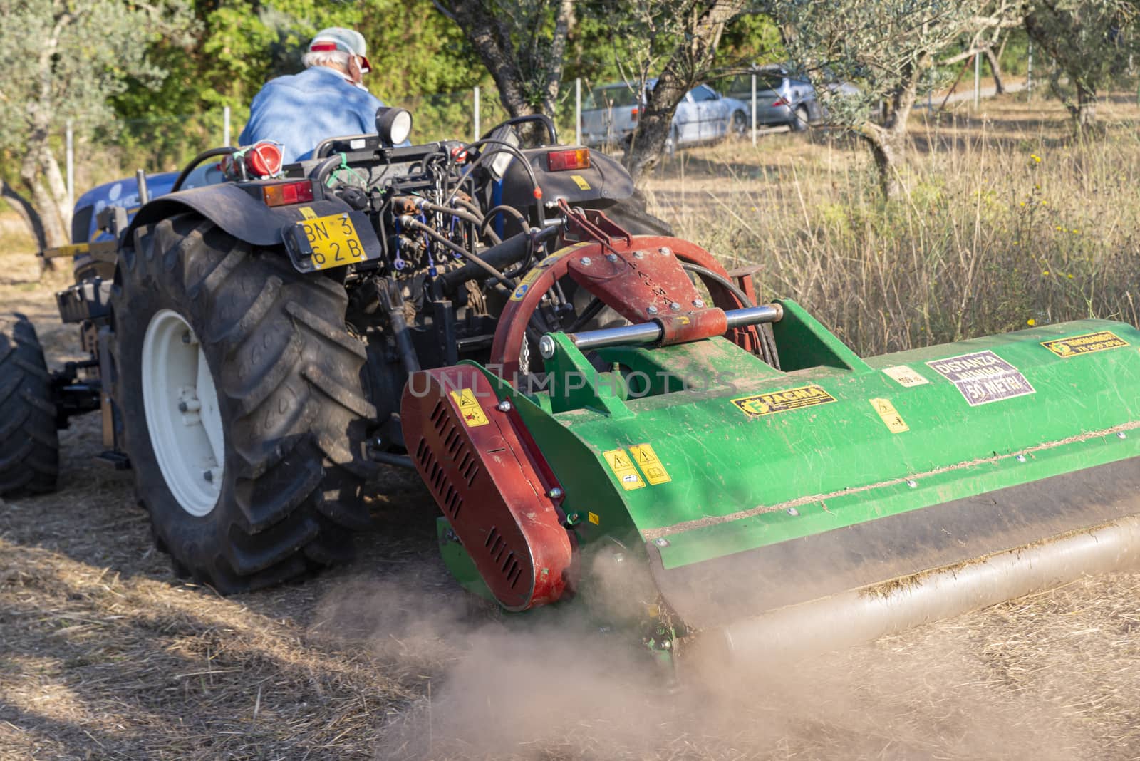terni,italy september 13 2020:shredding with tractor and stalk chopper of olive fields