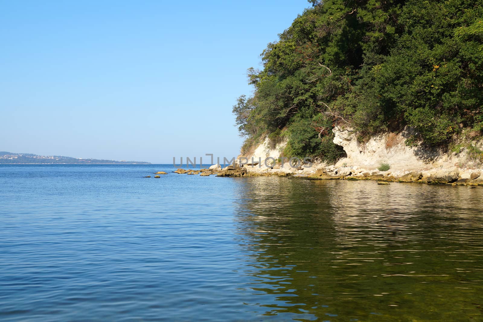 rocky coast overgrown with forest reflected in sea water.