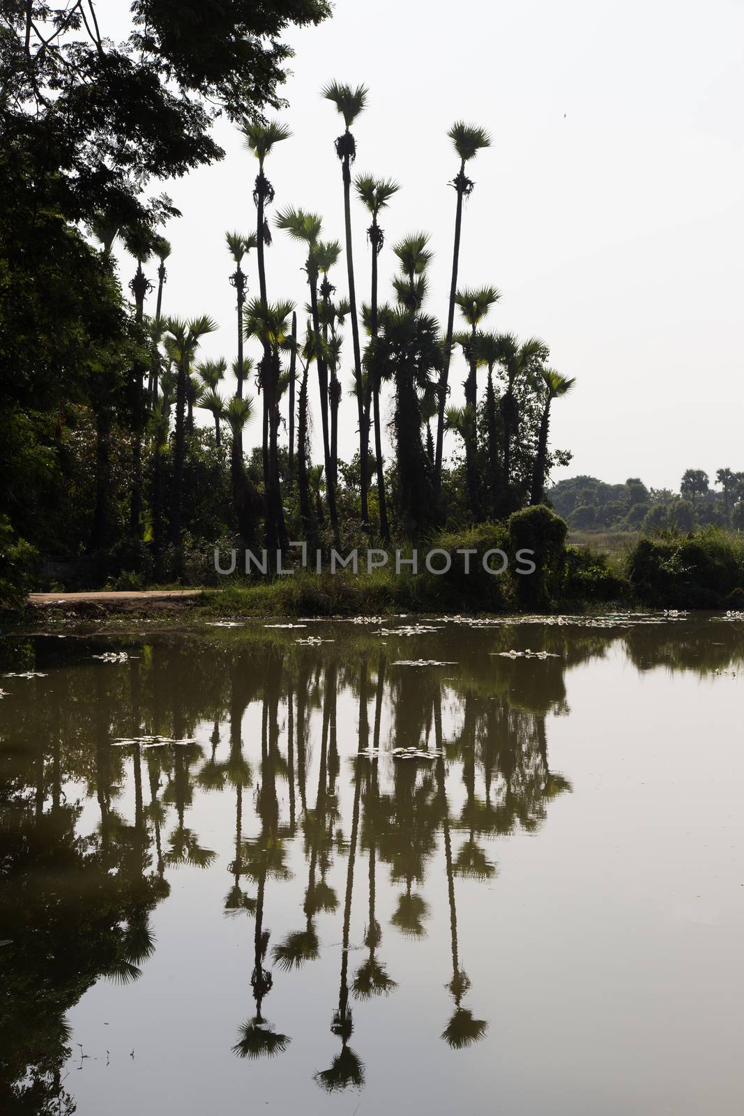 Inwa Island, Mandalay, Myanmar, stupa and temple in landscape reflected in water. Pagoda on Inwa island at Ayeyarwady River near Amarapura, Myanmar, Burma High quality photo