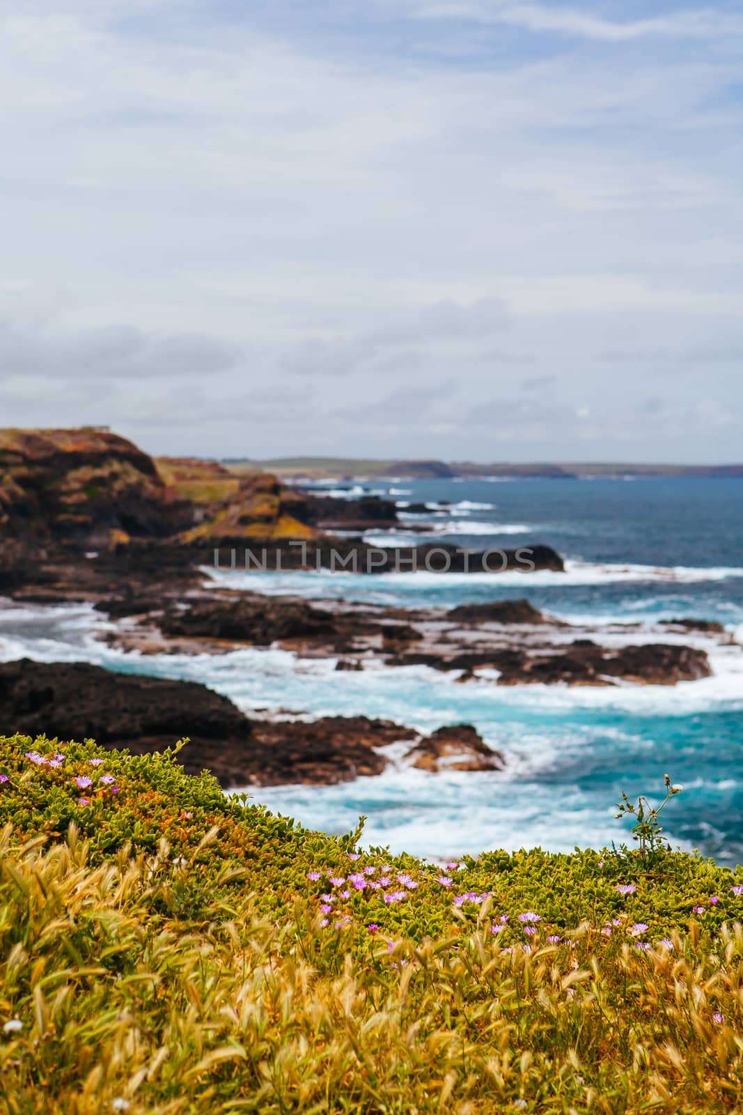 The Nobbies Landscape at Philip Island by FiledIMAGE