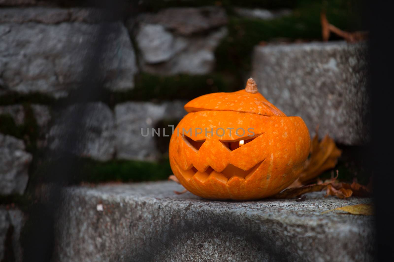 Orange halloween pumpkin on stone house steps with orange maple leaves