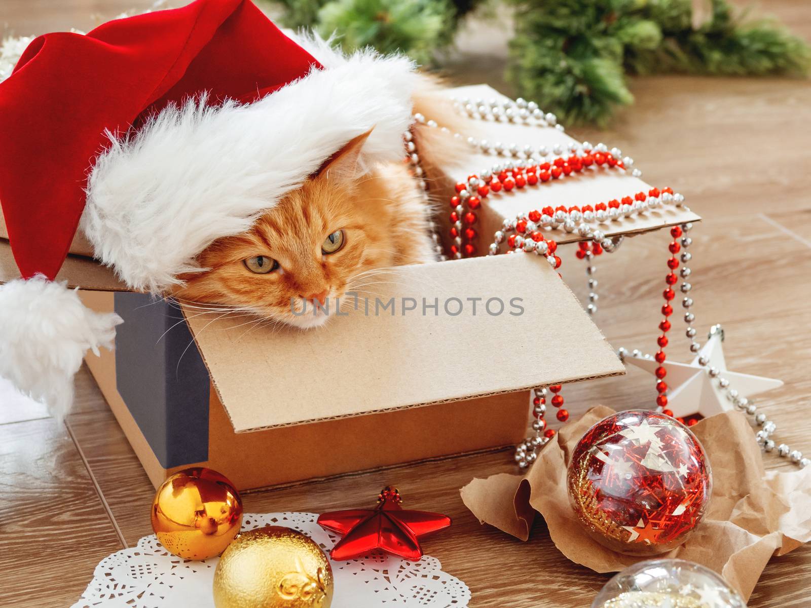 Cute ginger cat lies in box with Christmas and New Year decorations on wooden background. Fluffy pet with red Santa Claus hat. Fuzzy domestic animal during winter holiday preparation.