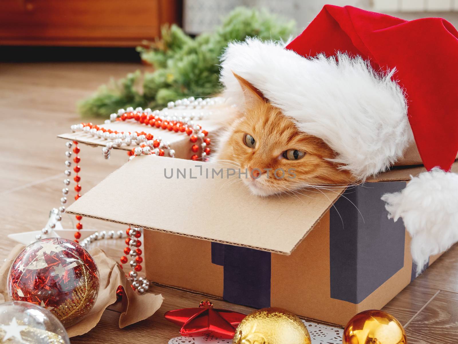 Cute ginger cat lies in box with Christmas and New Year decorations on wooden background. Fluffy pet with red Santa Claus hat. Fuzzy domestic animal during winter holiday preparation.