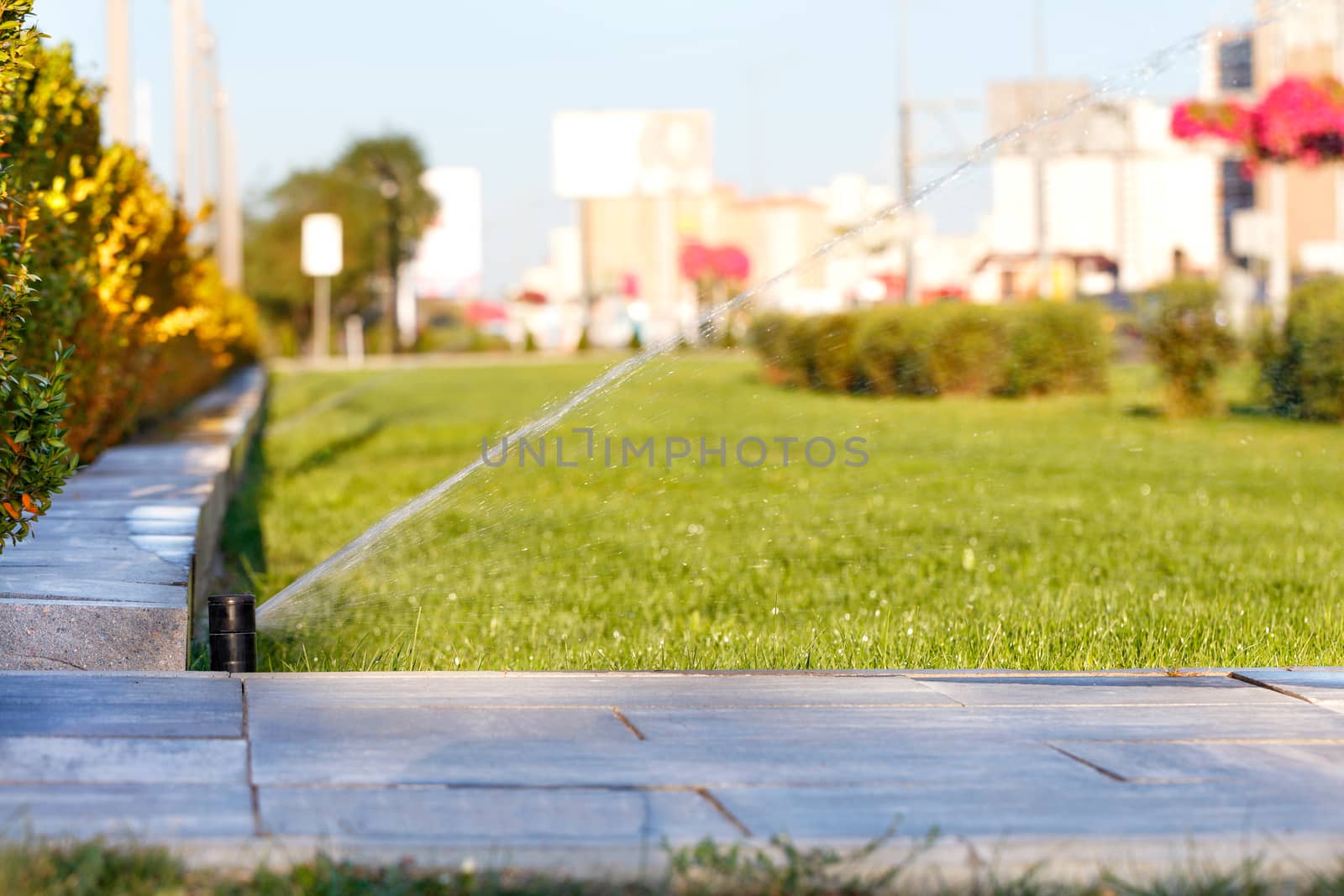 Automatic irrigation system irrigated the lawn on a blurred background of the cityscape on a bright sunny day, copy space.