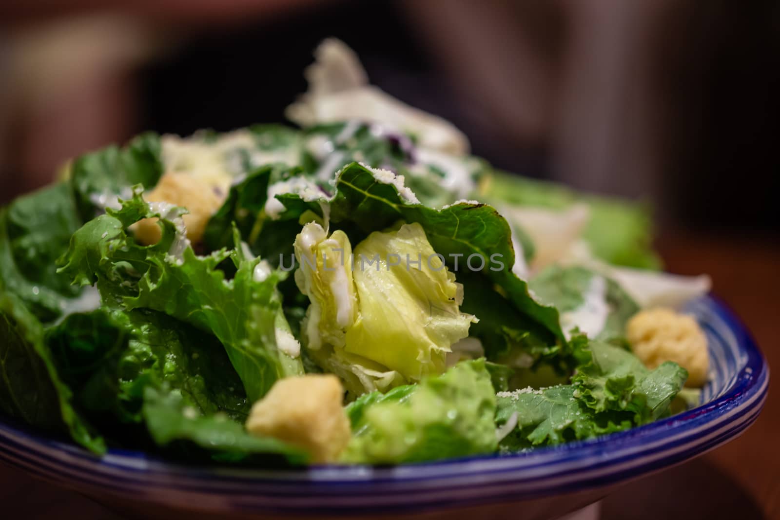 Macro shot of green salad in bowl