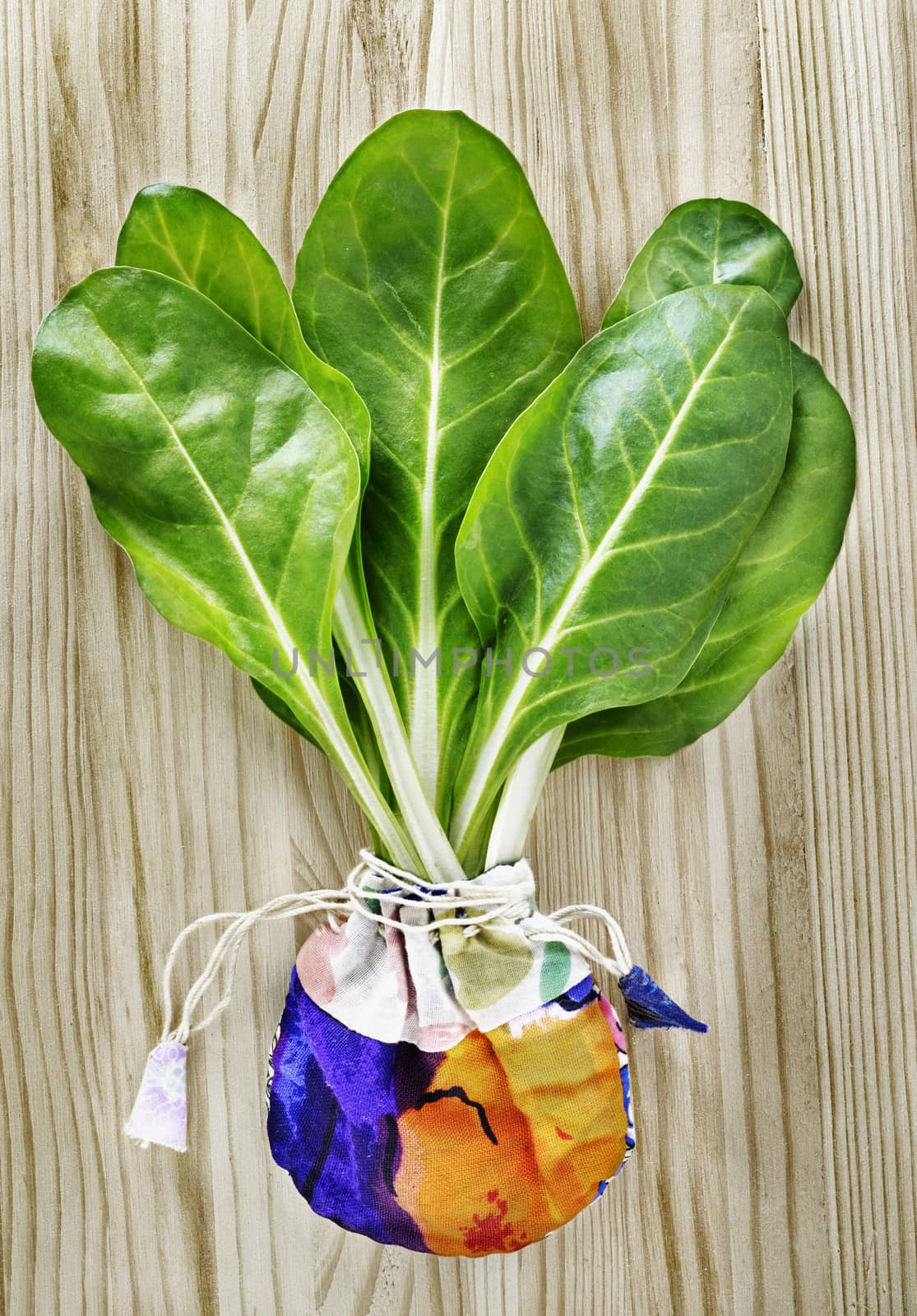  Leaves of chard -Swiss chard - on wooden table , several green leaves with white stalks  in colored bag