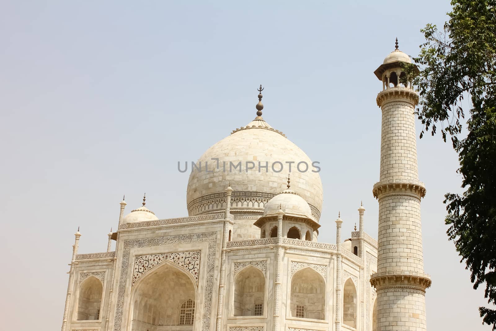 Closeup of beautiful monument Taj Mahal, Agra, India